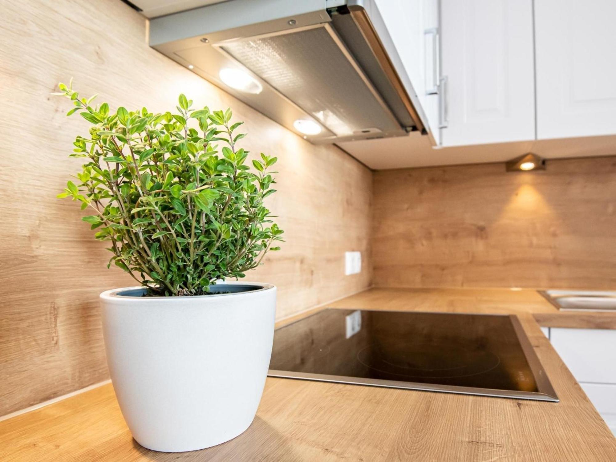 Berolina 804 Penthouse Mit Meerblick Dahme  Ngoại thất bức ảnh